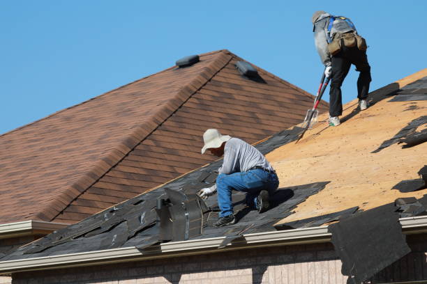 Best Metal Roofing Installation  in Avalon, NJ